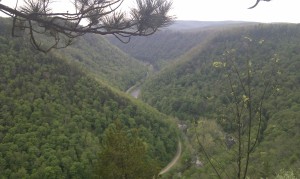 The view from Colton Point overlooking the Pine Creek Gorge and the Rail Trail